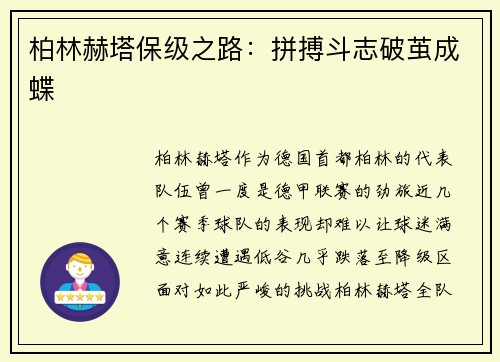 柏林赫塔保级之路：拼搏斗志破茧成蝶