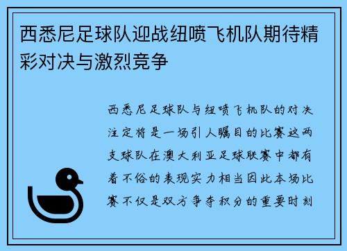 西悉尼足球队迎战纽喷飞机队期待精彩对决与激烈竞争